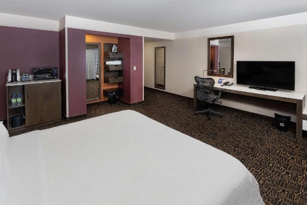 Hilton Garden Inn Montreal Centre-Ville image 14